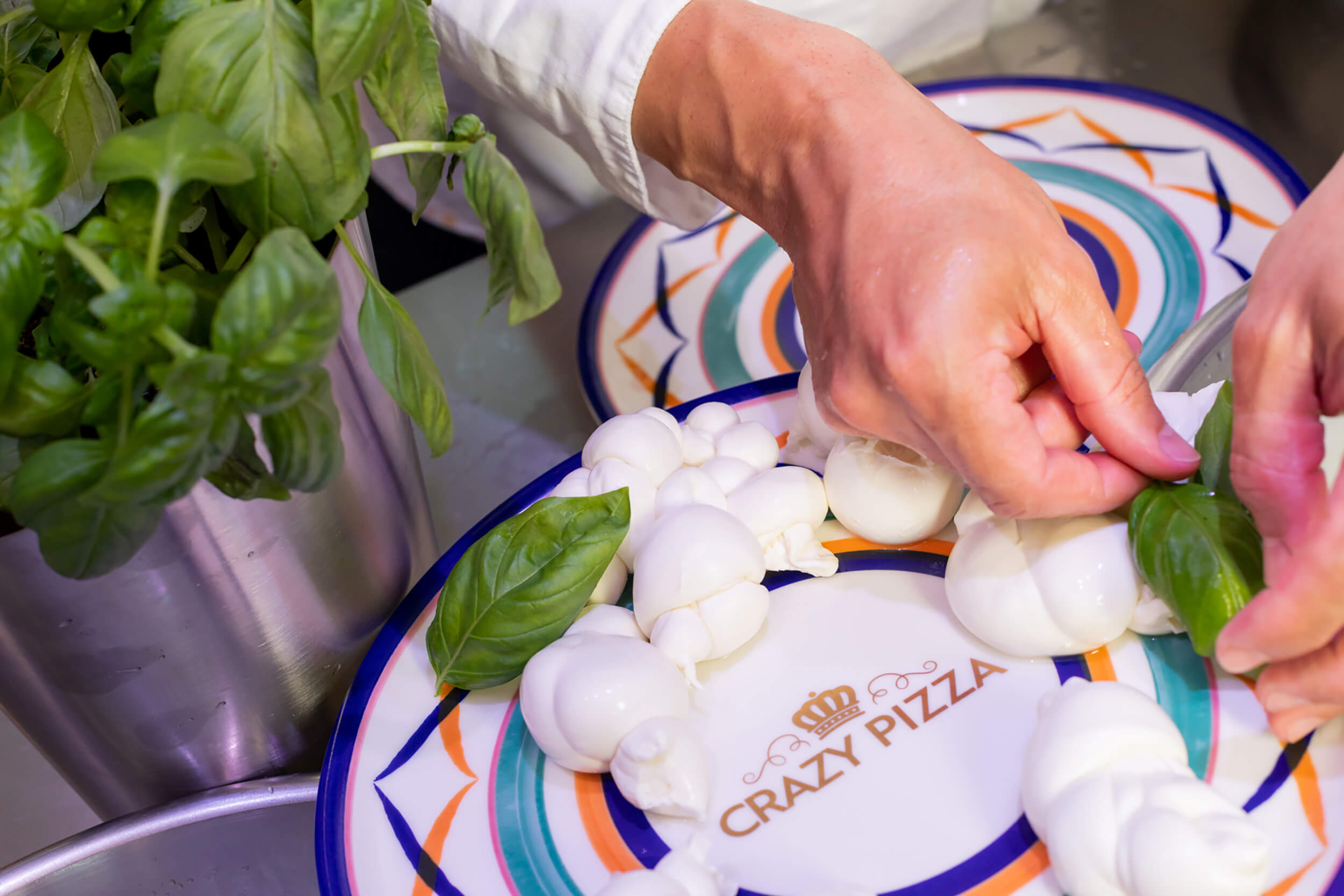 Hands garnishing a plate with basil and fresh mozzarella knots.